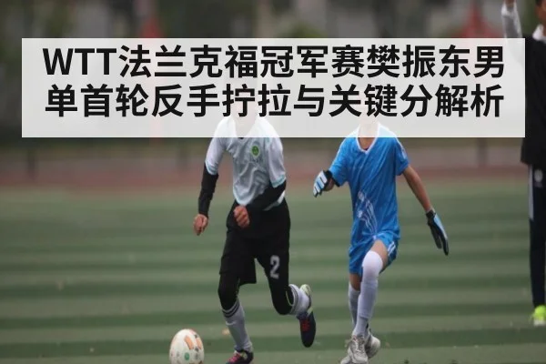 WTT法兰克福冠军赛樊振东男单首轮反手拧拉与关键分解析